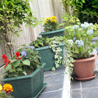 Seed Trays Pots & Planters